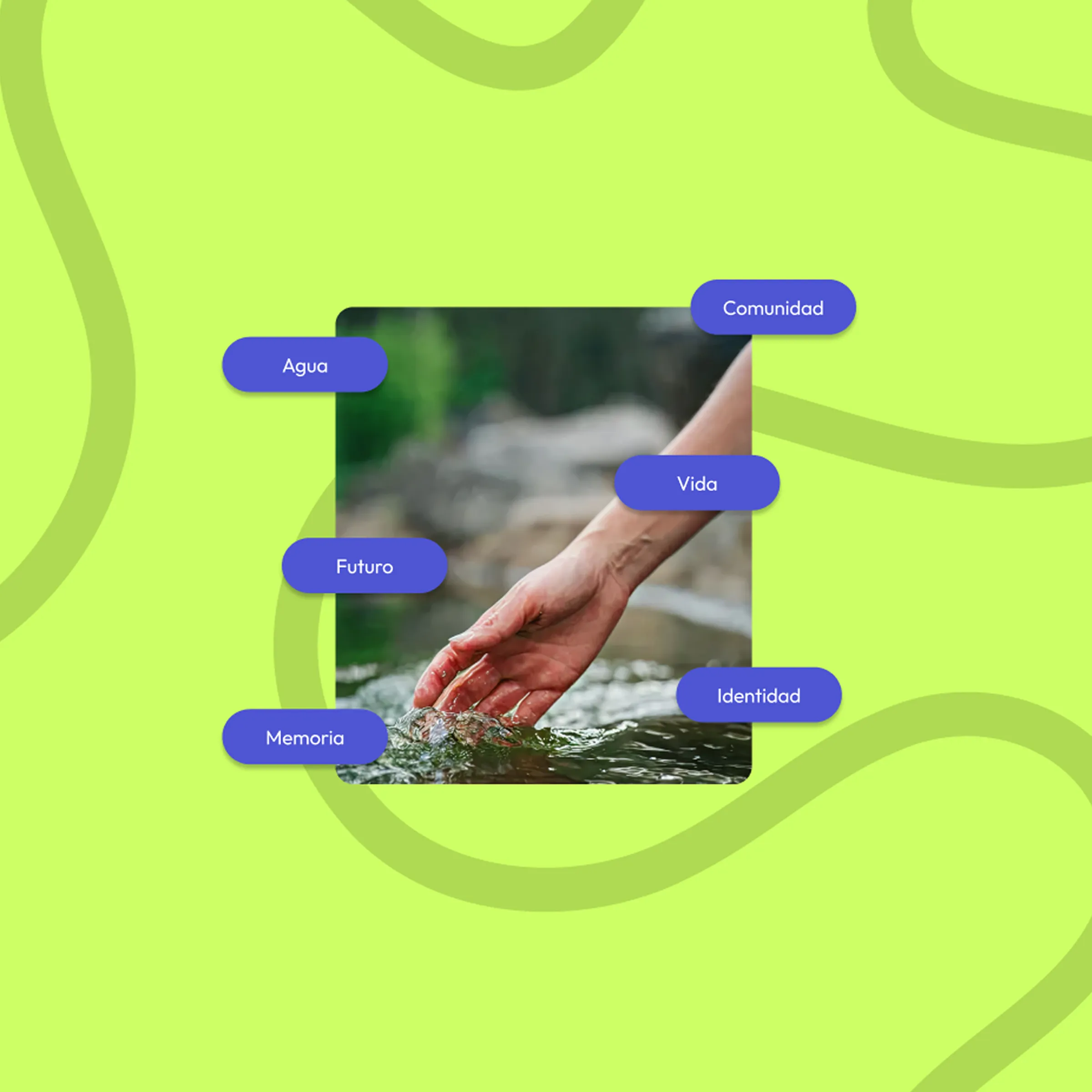 Brand graphic: a hand touching the water, ringed by the campaign's words, Agua, Comunidad, Vida, Futuro, Memoria, Identidad